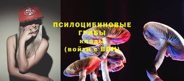трава Беломорск