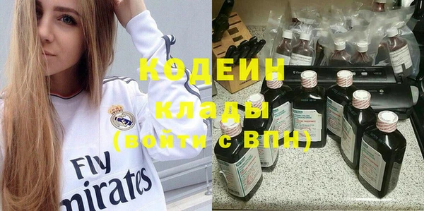 дживик Белокуриха
