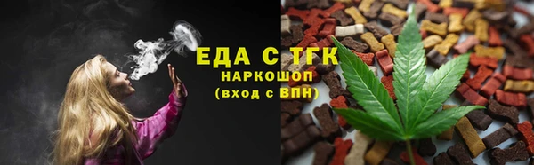 стаф Гатчина