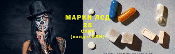 PSILOCYBIN Белоозёрский