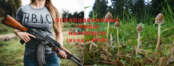 трава Беломорск