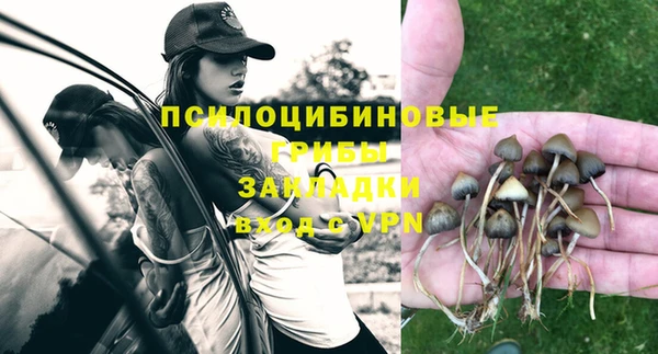дживик Белокуриха