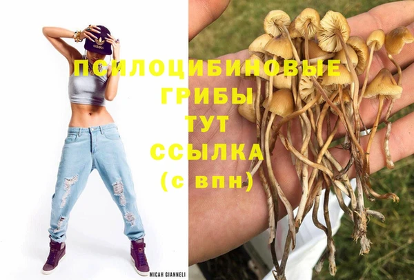 трава Беломорск