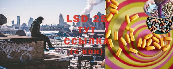 PSILOCYBIN Белоозёрский