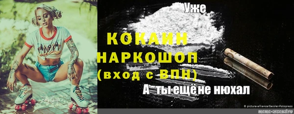 PSILOCYBIN Белоозёрский