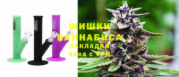 дживик Белокуриха